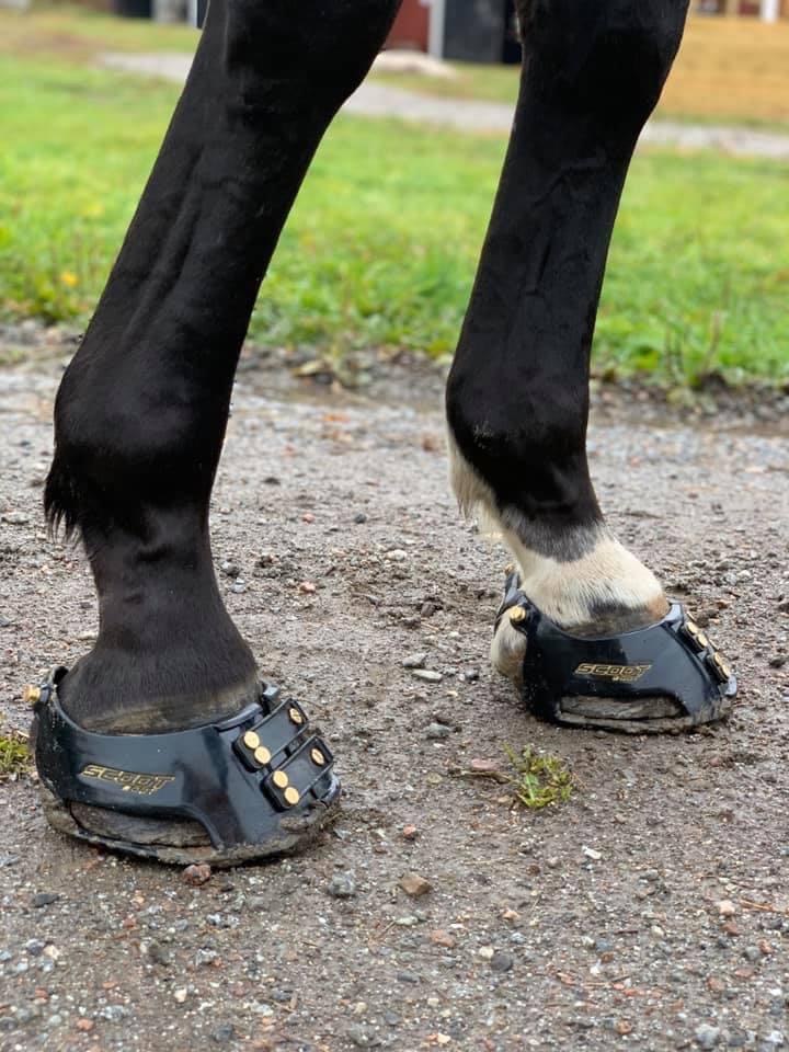Provskal för storlek