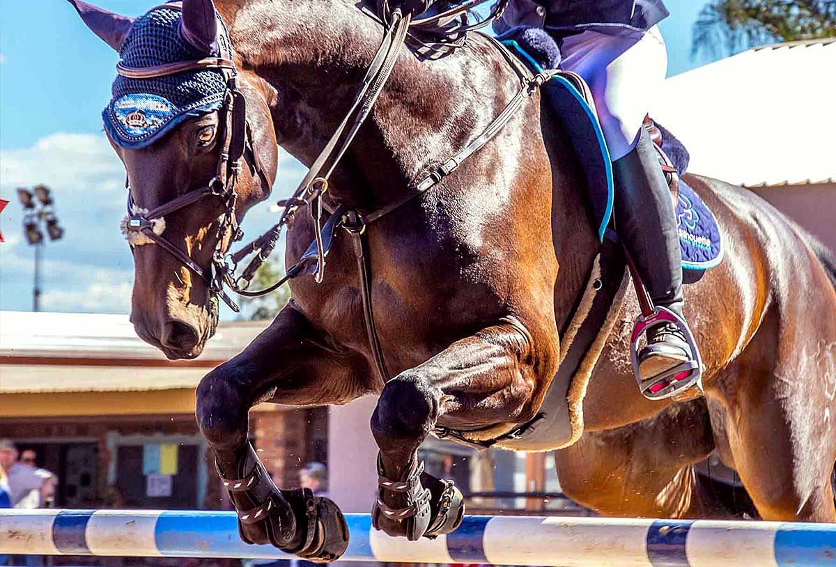 Scoot Boots godkända inom FEI-hoppning