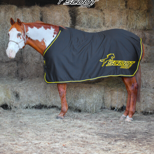 Scoot Horse Rug