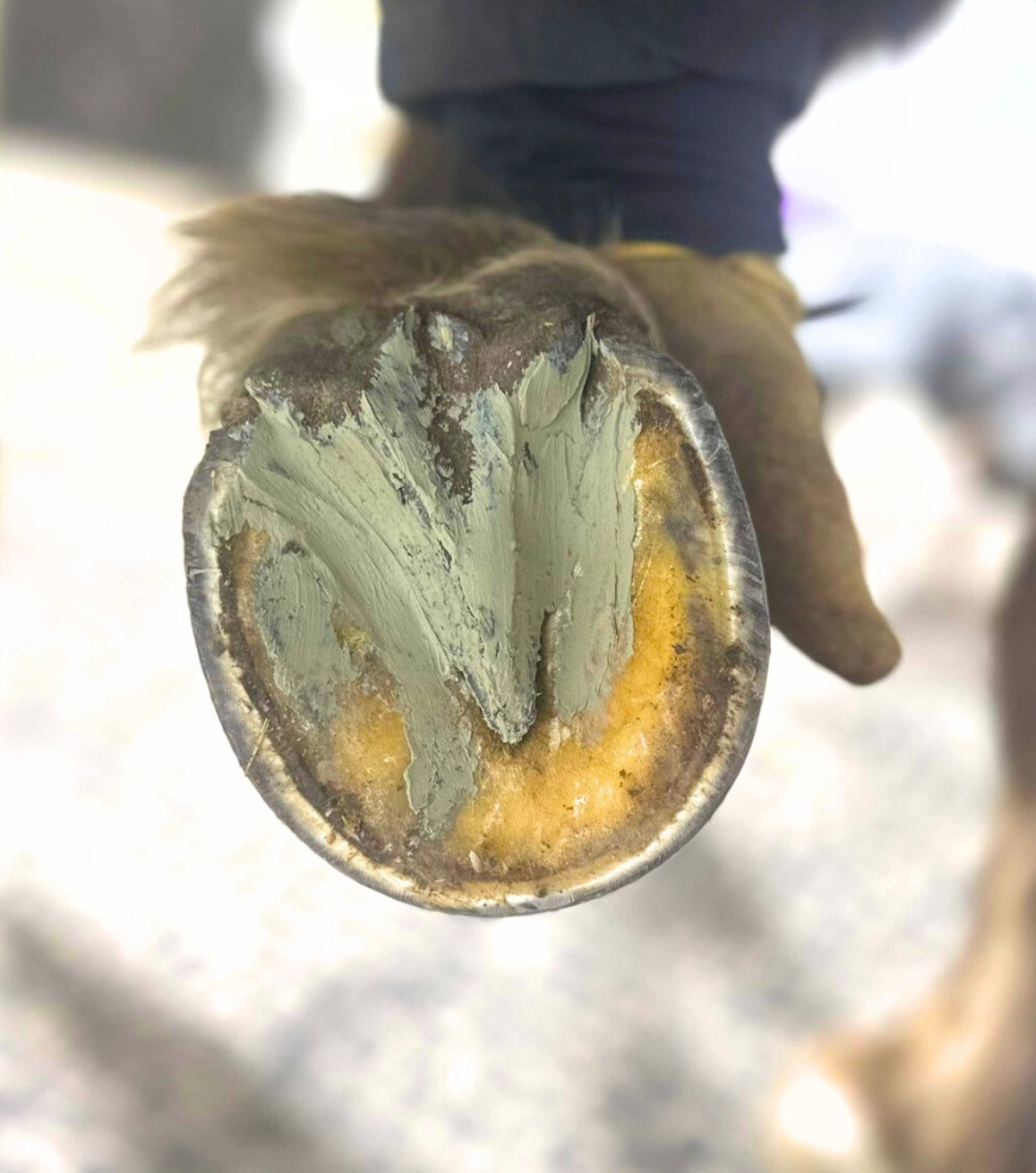 EQUNIQUE® Hoof Clay - Image 2