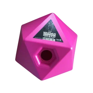 Feed and Treat Cube