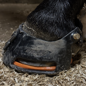 EQUNIQUE Support Pad - 2 st